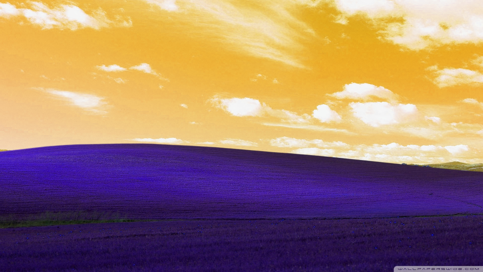 Complementary colors